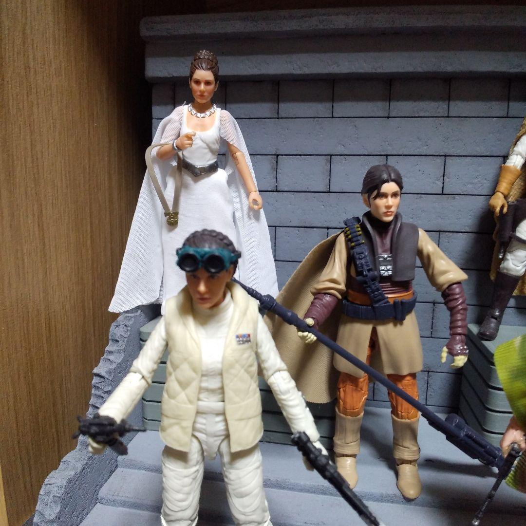 スターウォーズ　ハズブロ　ブラックシリーズ　6インチ　レイア6種セット