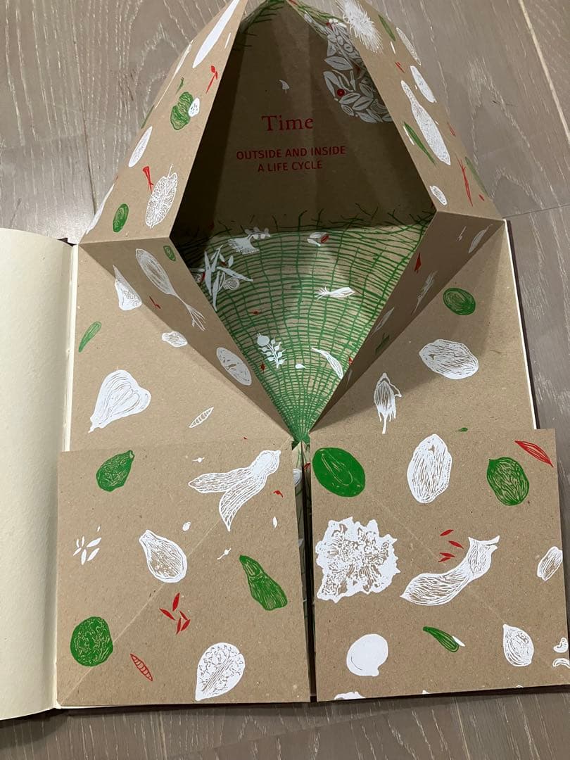 「SEED 」Gita Wolf他著Tarabooks インド限定品　日本未販売