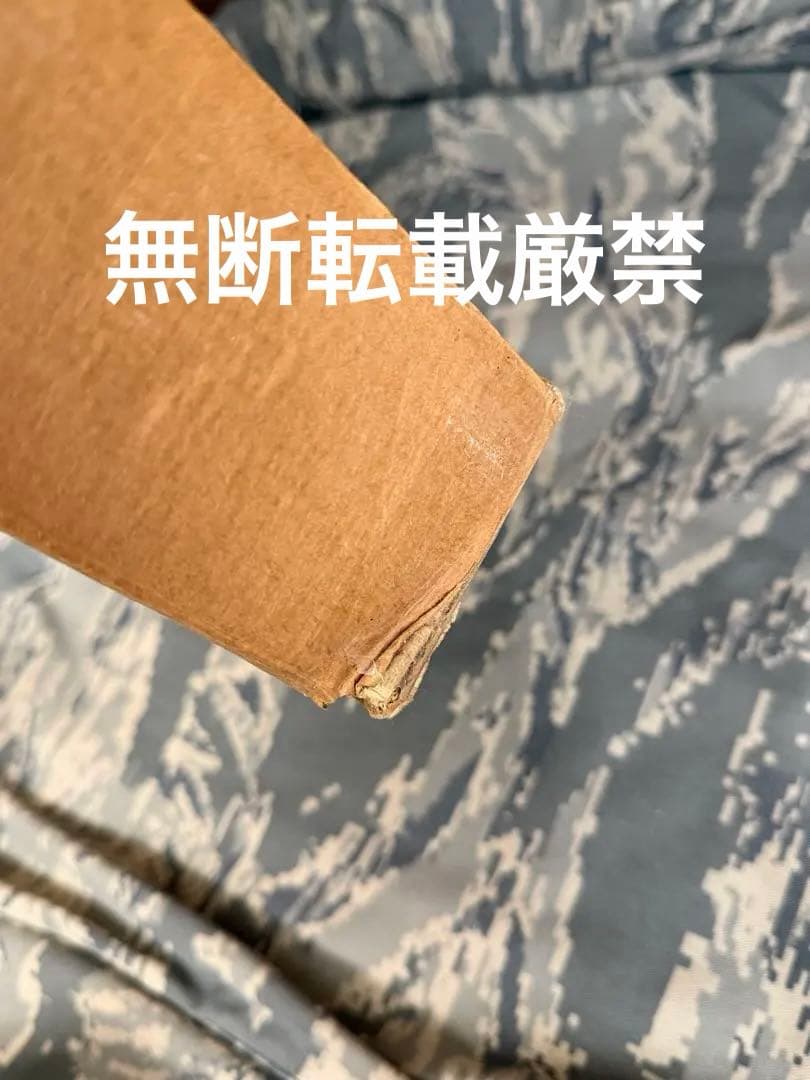 東京マルイ バイオハザードコードベロニカ アシュフォード ゴールドルガーレリーフ