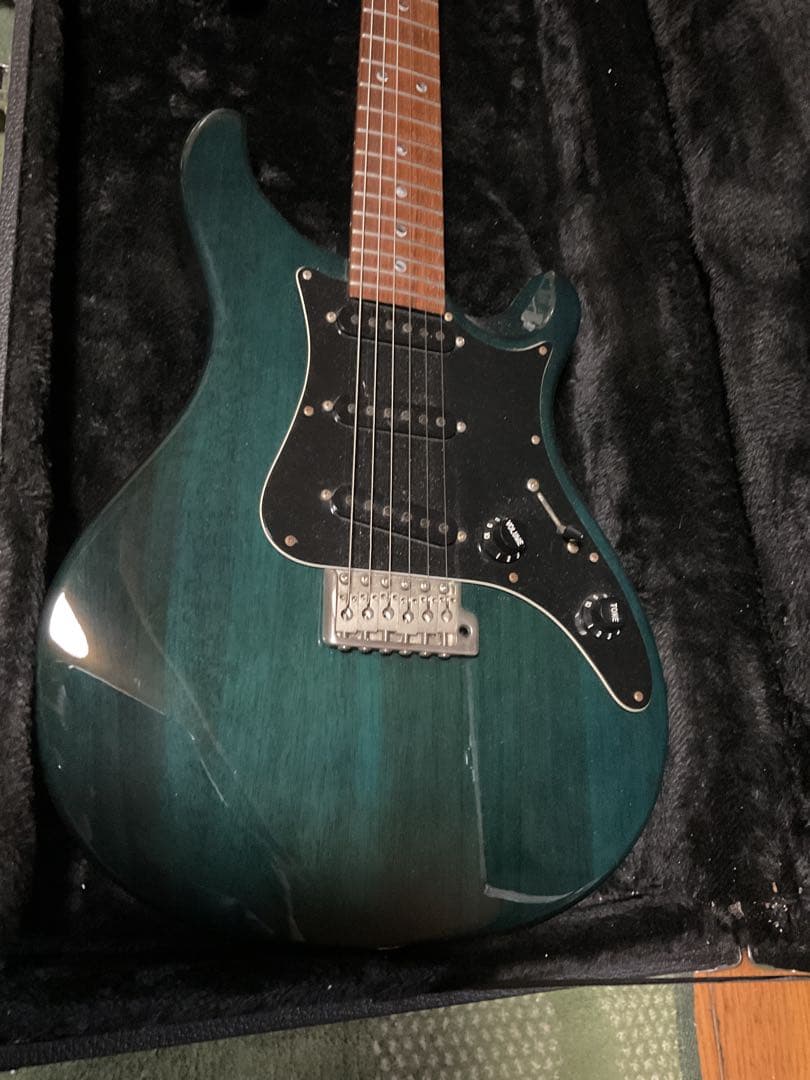 6/15終了　PRS SE EG