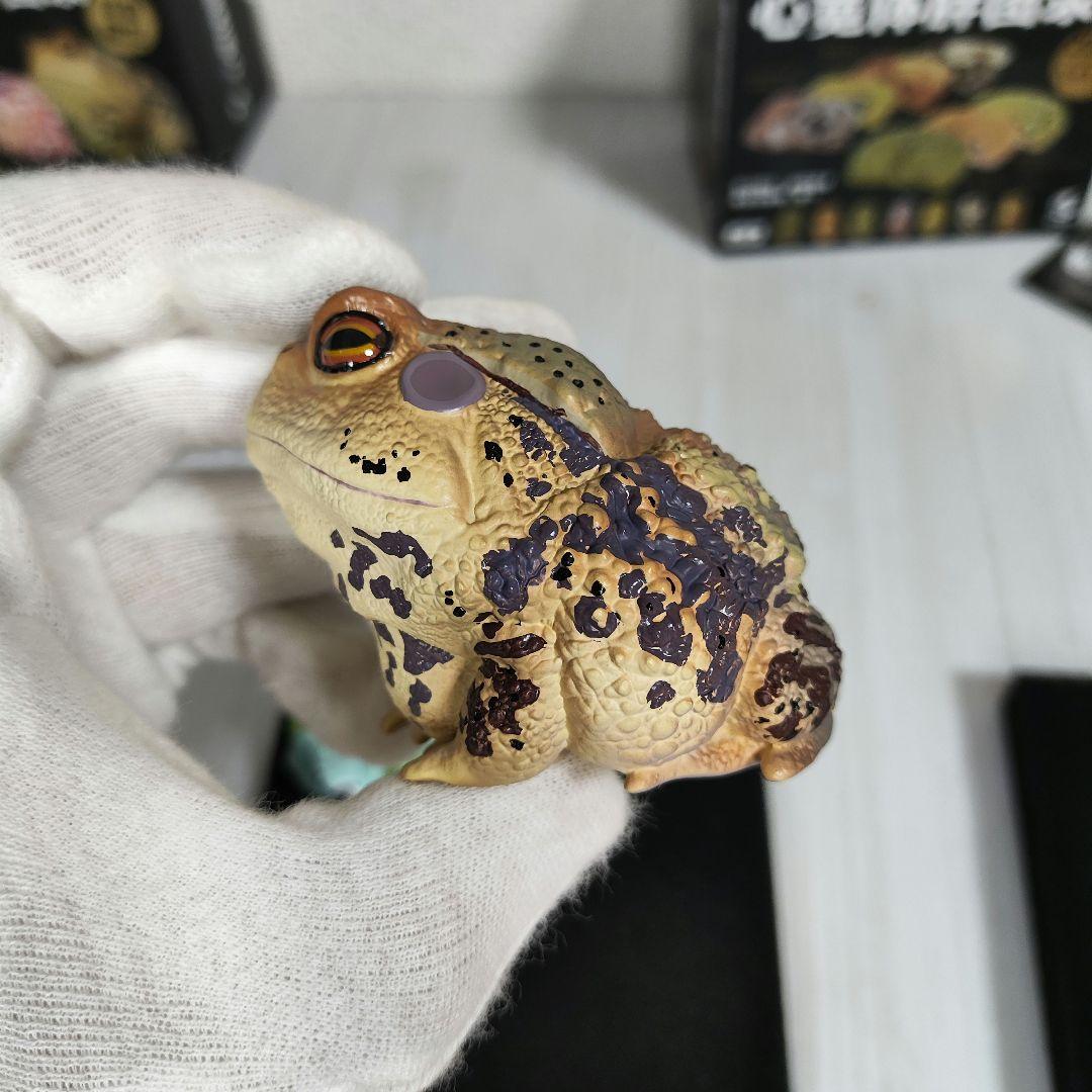 【動物の惑星】スーパーレア!韓国限定リリー&150体限定カエル!! フィギュア