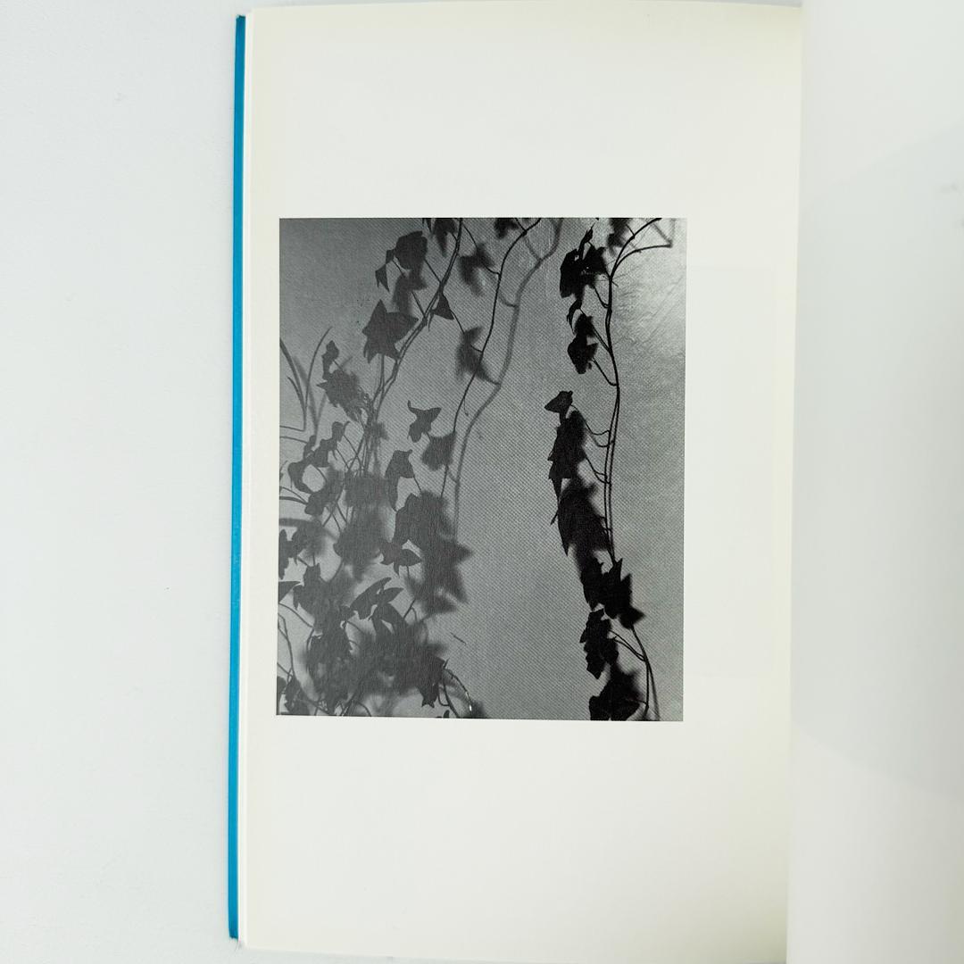 アート・デザイン・音楽 LIGHT SOURCES by JAMES WELLING