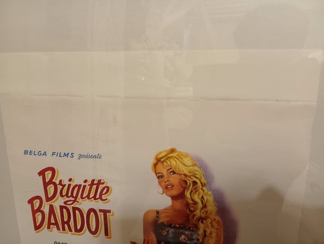 仏ヴィンテージ映画ポスター5枚セット バルドー ゲンズブール バーキン ゴダール