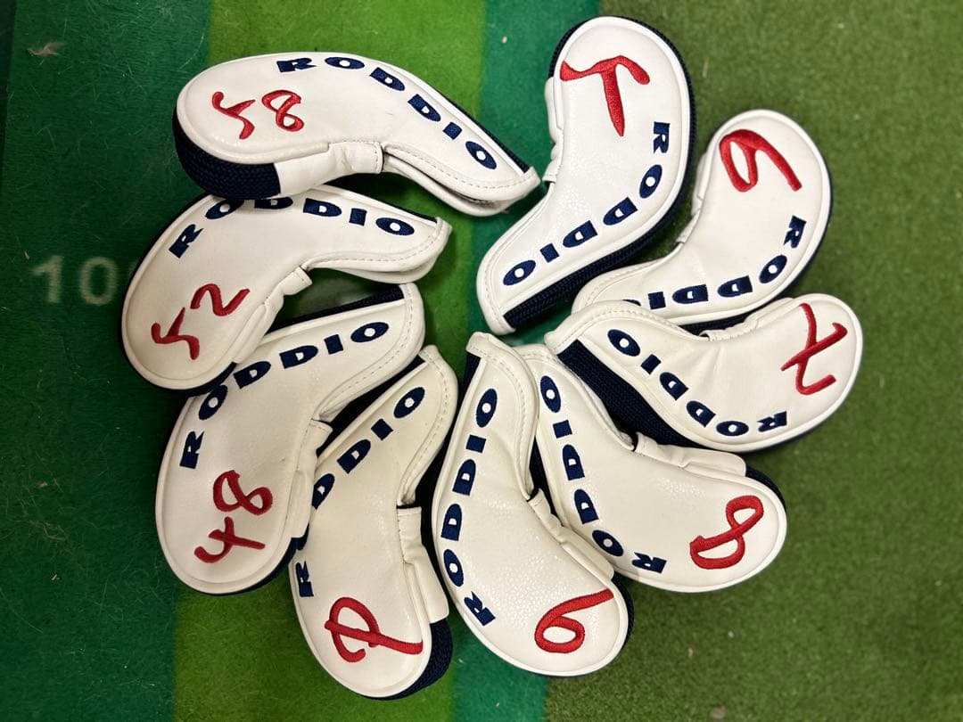 ロッディオ　限定クロコダイル