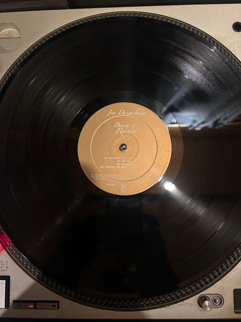 Joy Denalane Born & Raised 2LP レコード