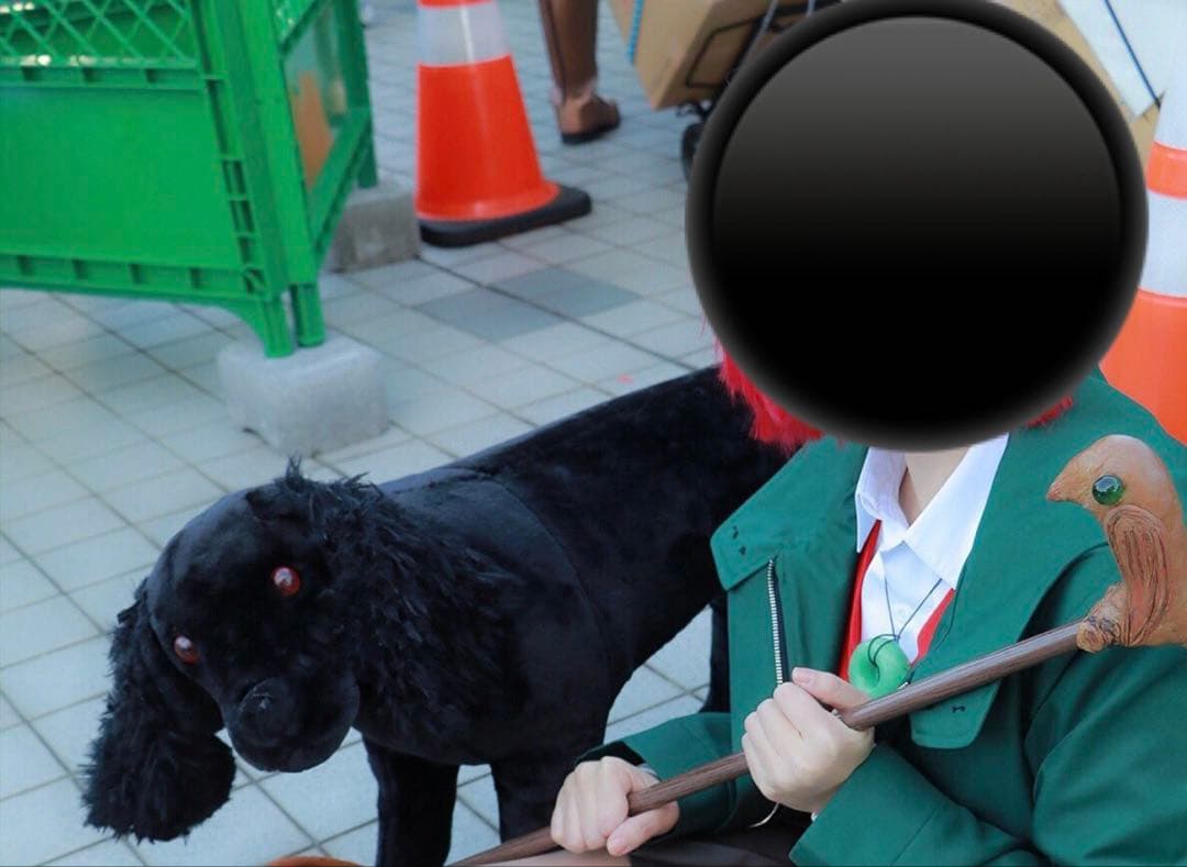 ラブラドールレトリバー　ブラッグドッグ　ぬいぐるみ　等身大　魔法使いの嫁　ルツ