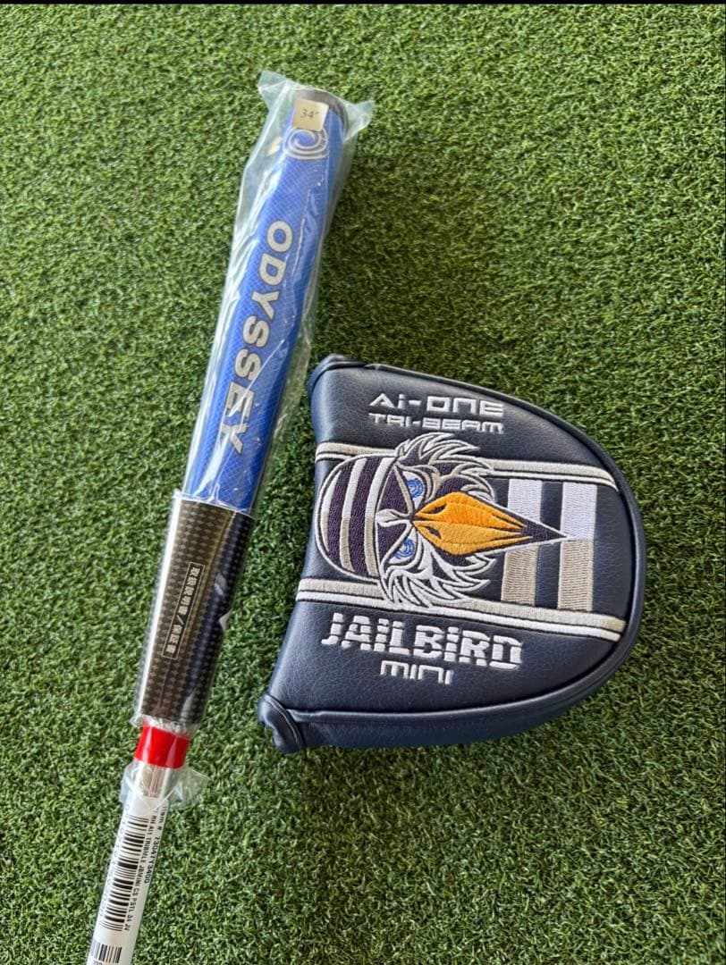 オデッセイAi-ONEトライビームJAILBIRD MINI CS 34新品