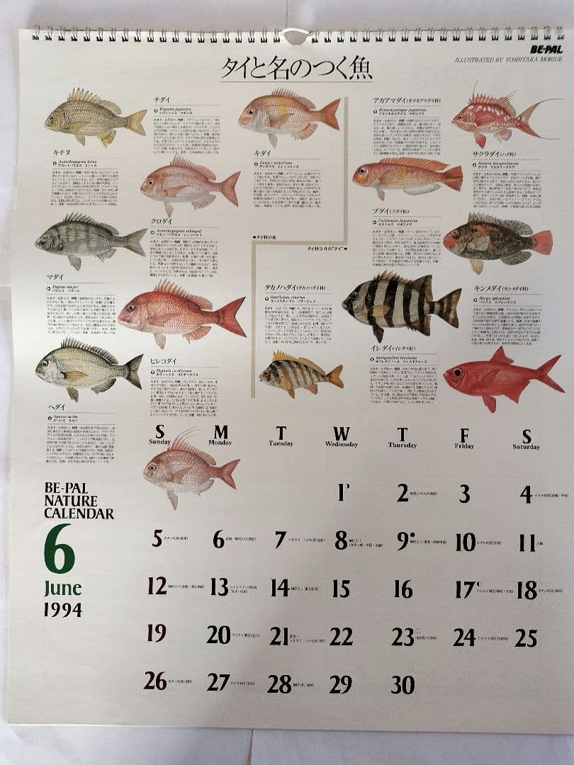 BE-PAL ビーパル カレンダー 新品未使用 1994年 ヴィンテージ