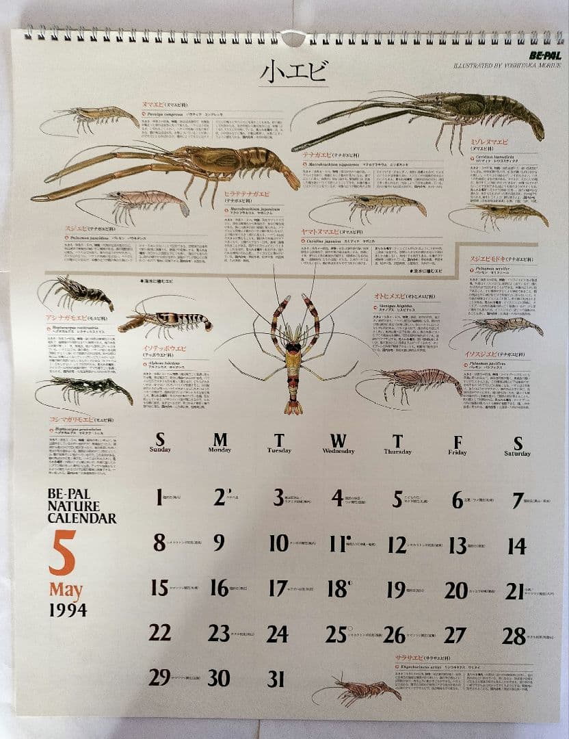 BE-PAL ビーパル カレンダー 新品未使用 1994年 ヴィンテージ