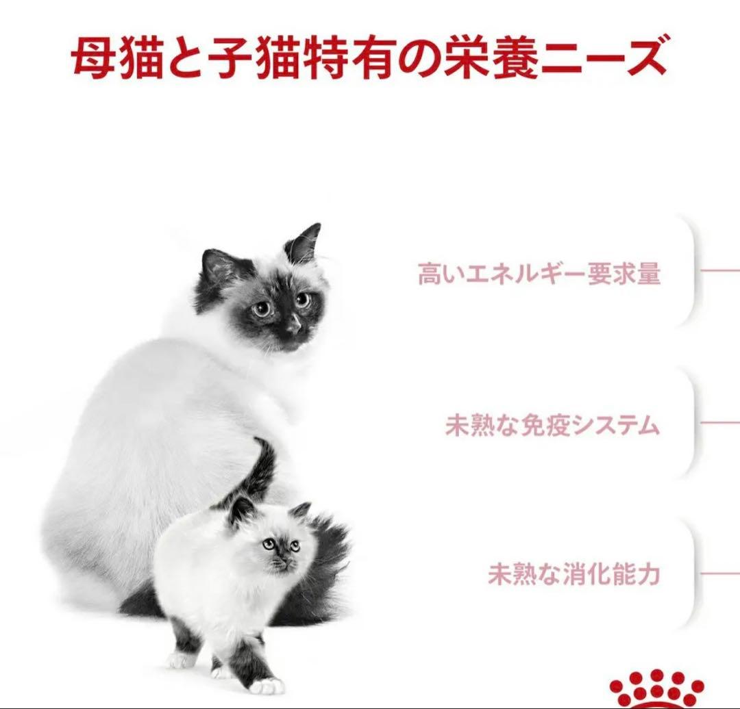 ロイヤルカナン　成長前期　4kg 3袋セット