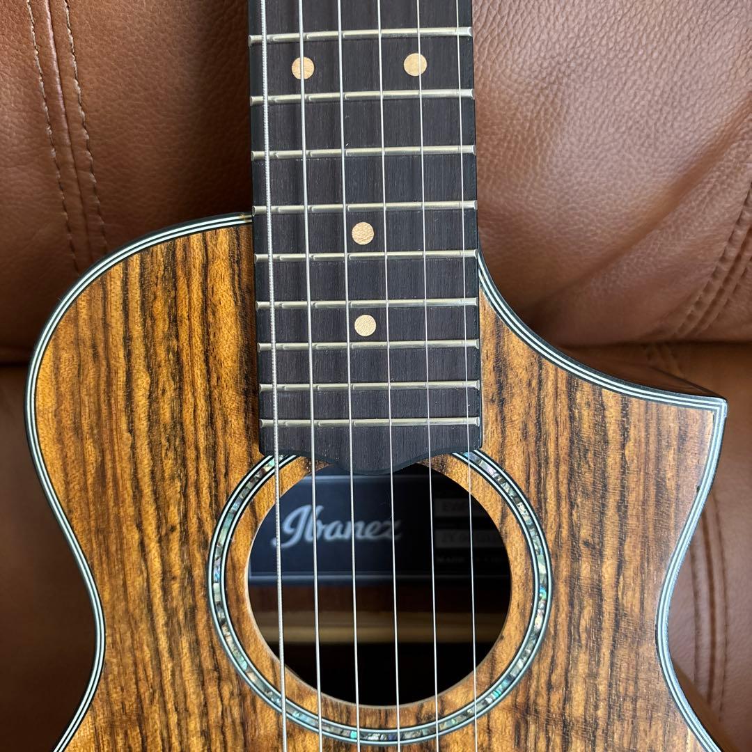 Ibanez EWP14WB-OPN ピッコロギター