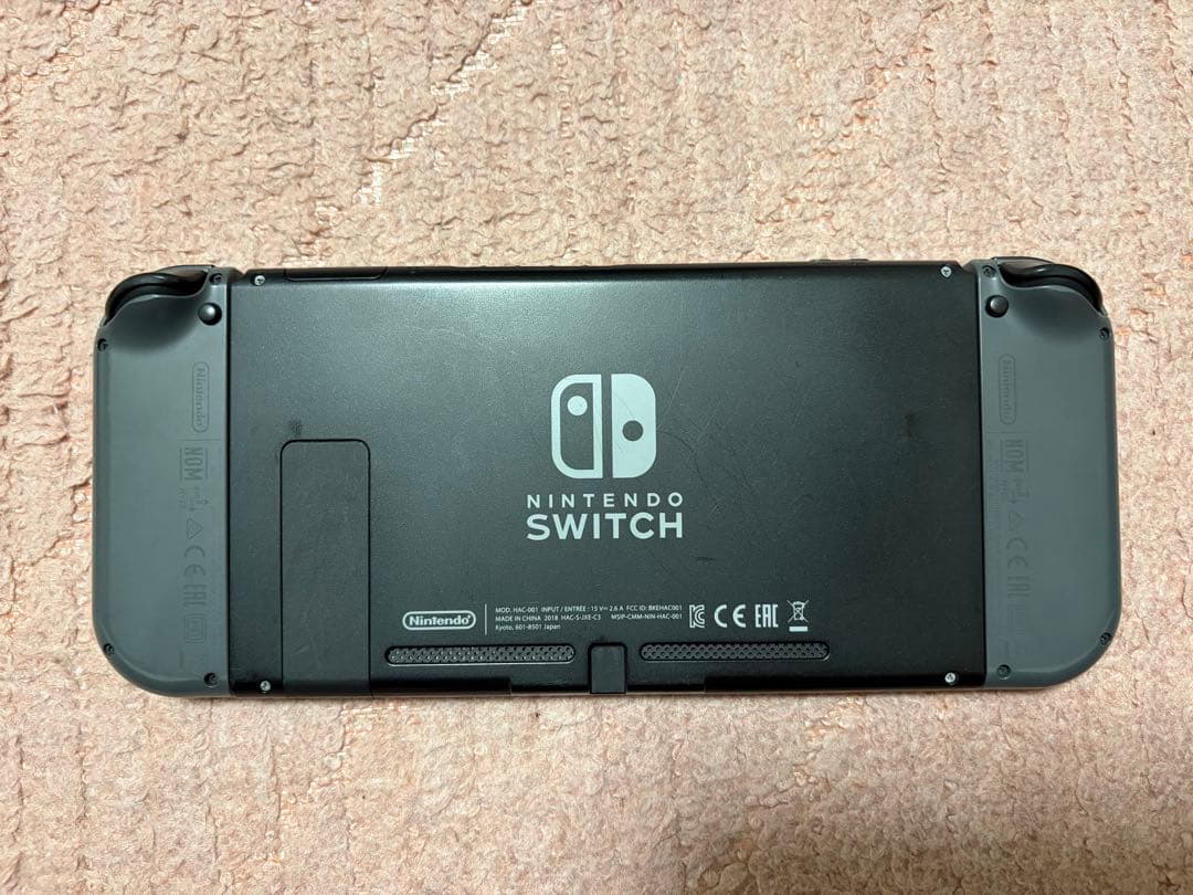 ラ*ブ様 Nintendo Switch 本体+背面付きコントローラー+付属品