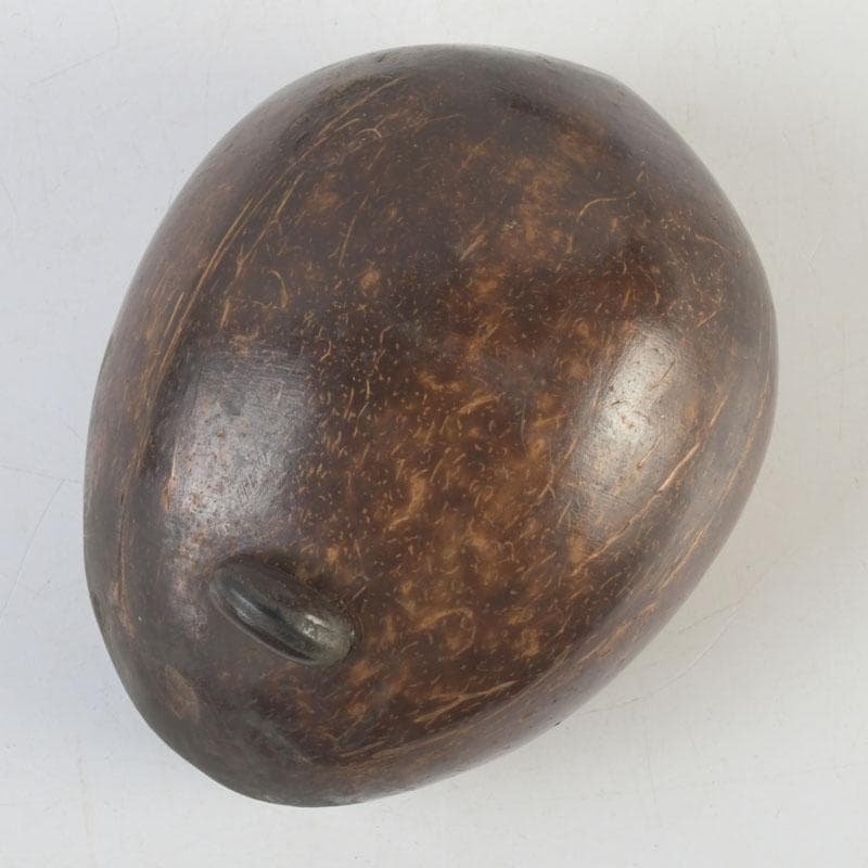 茶道具　椰子の実　内金溜　菓子器　時代箱　M　9853