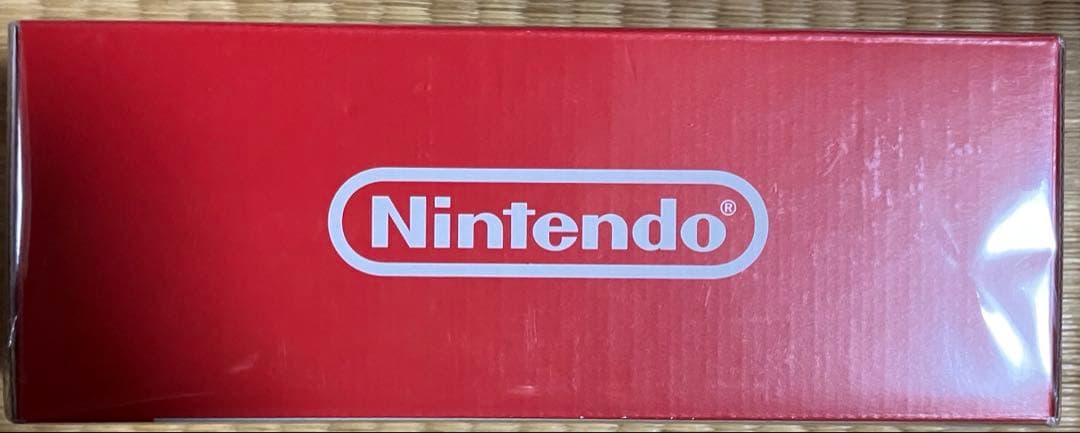 新品 ニンテンドースイッチ ライト Nintendo Switch