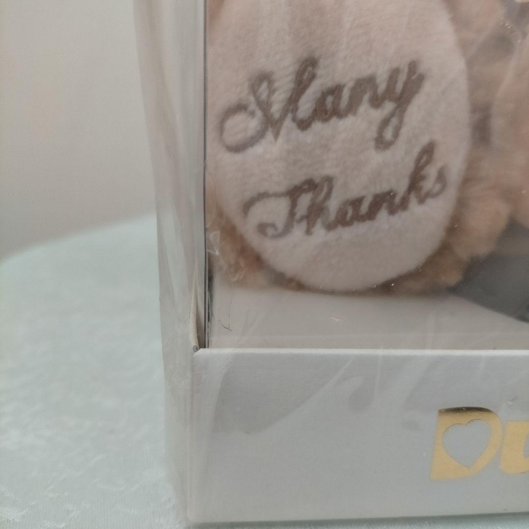 ☆ダッフィー☆ぬいぐるみ☆ManyThanks☆プリザーブドフラワー☆花☆
