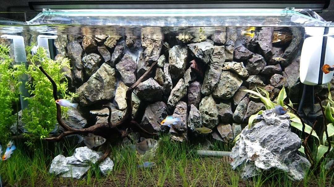 超貴重！60ｃｍ水槽用リアルバックスクリーン