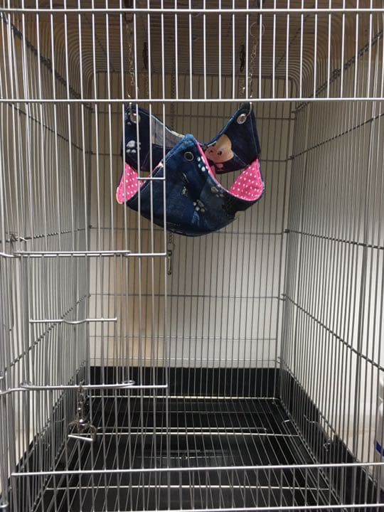 モモンガハウス(リアル・苺・籠柄)ボアピンク  2100円