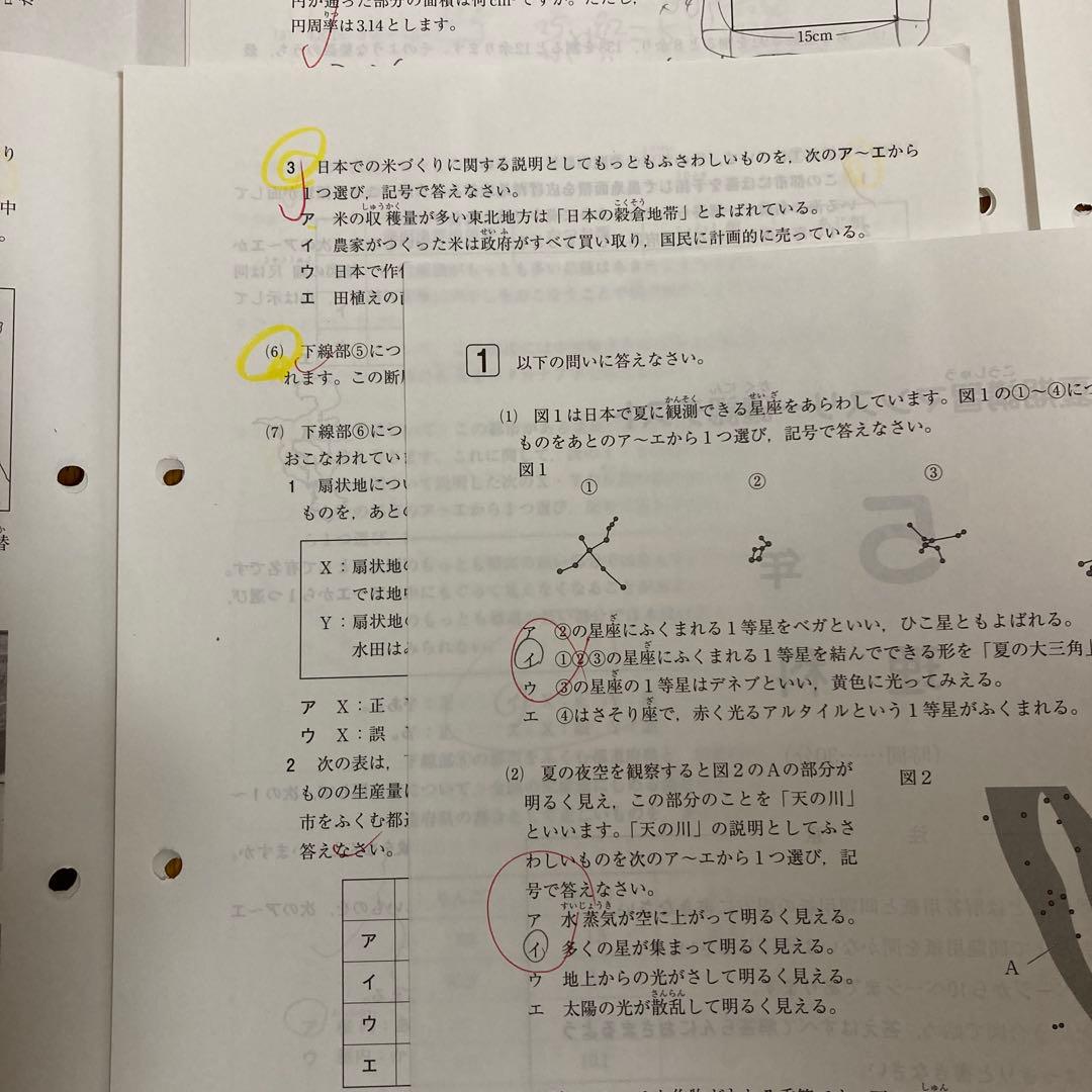 SAPIX5年入室・マンスリー・組分け・復習・サピックスオープン1年分(15回)
