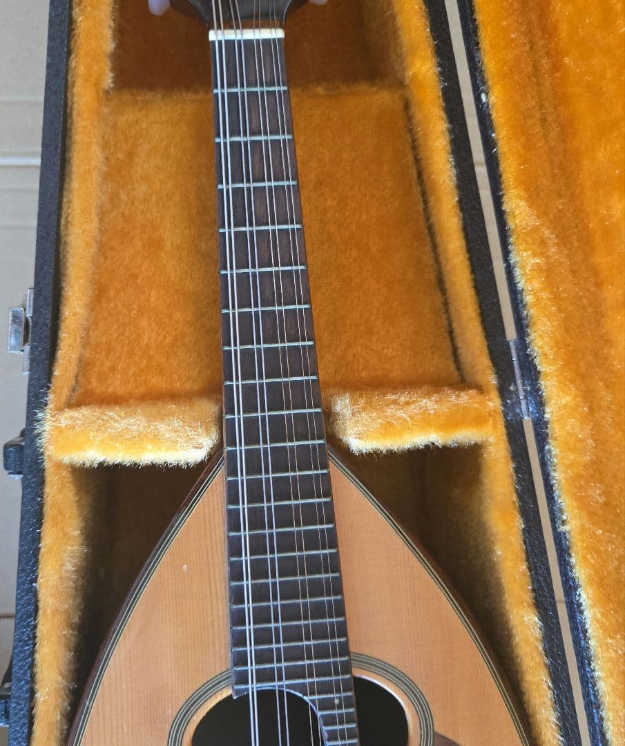 Suzuki M-30 マンドリン 本体 ハードケース付き