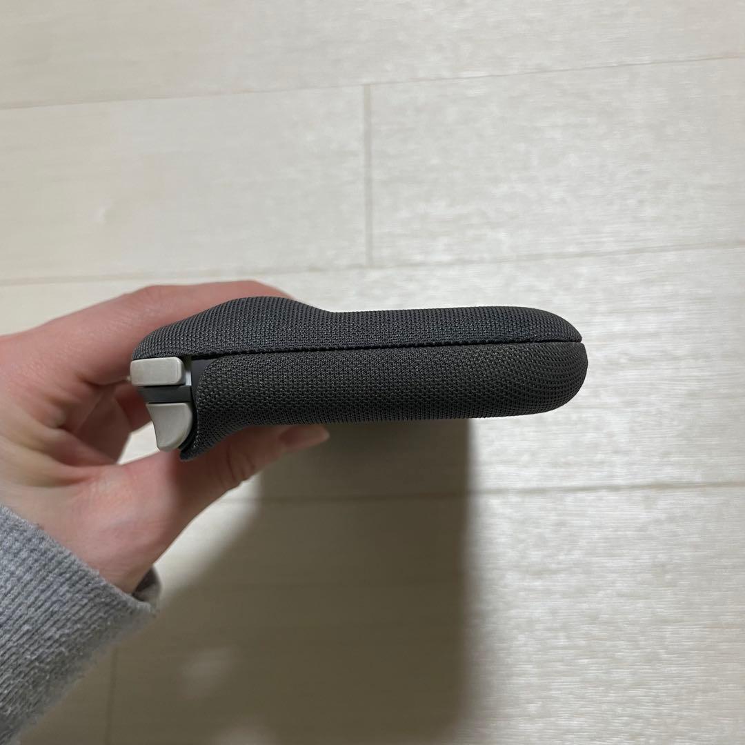 Nintendo Switch Lite グレー 本体　＋おまけ付き