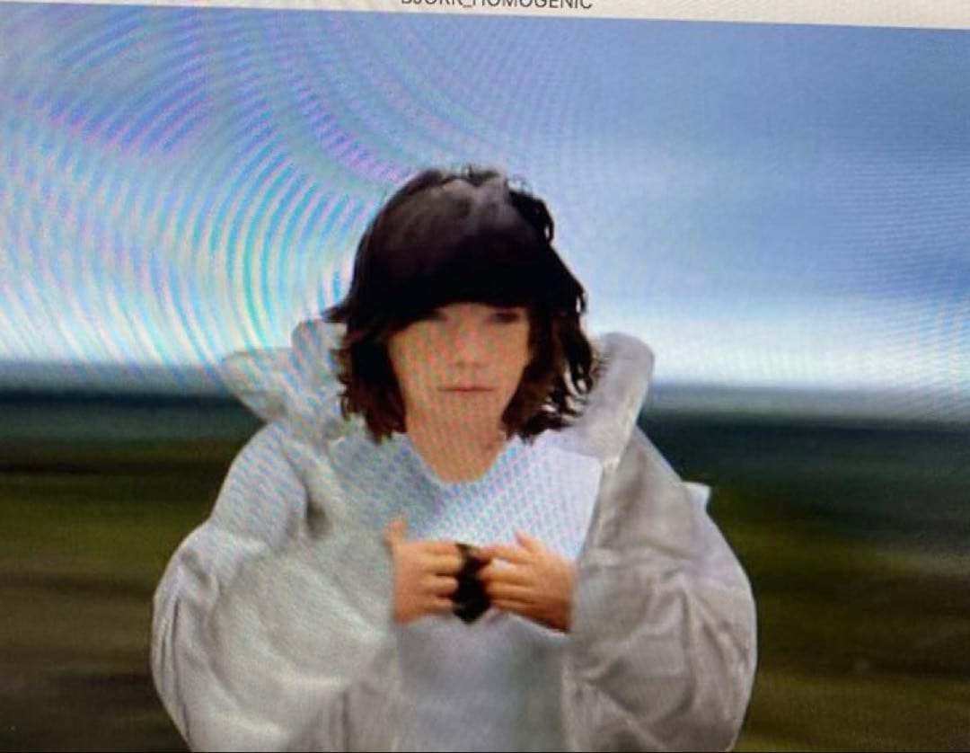 ビョーク / ホモジェニック デュアルディスク盤 CD DVD