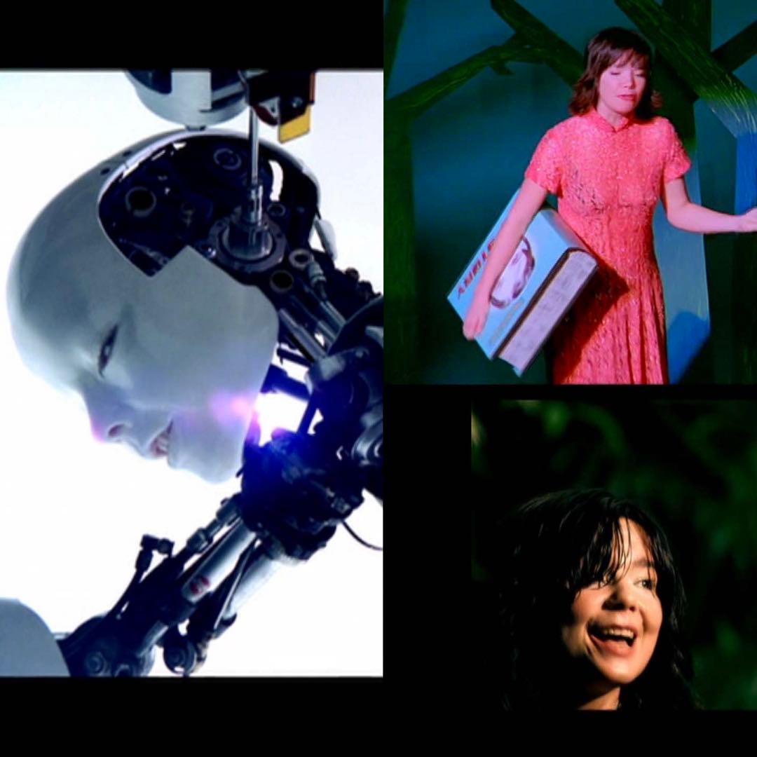 ビョーク / ホモジェニック デュアルディスク盤 CD DVD