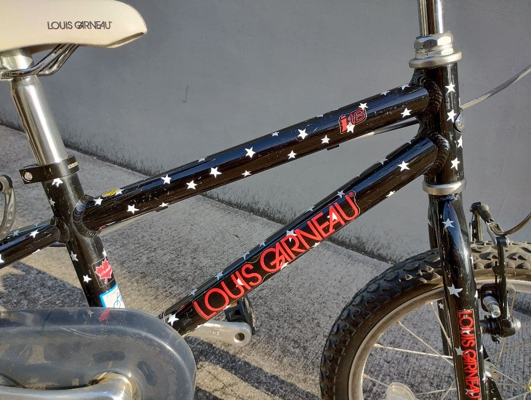 【限定カラー】LOUIS GARNEAU キッズバイク（16インチ）