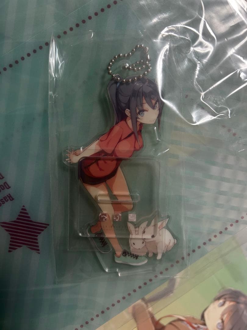 Ntype C95 新刊セット　青春ブタ野郎シリーズ