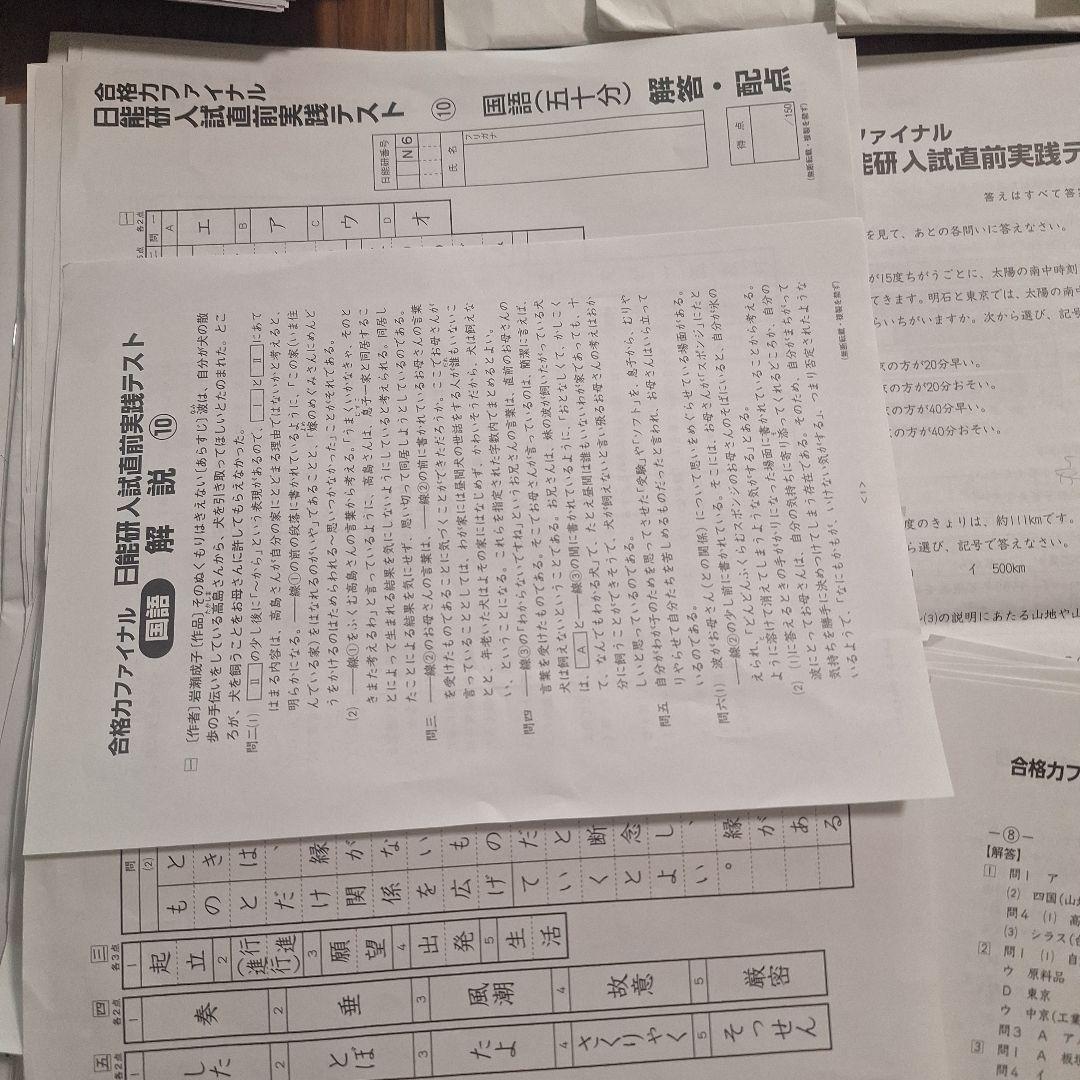 日能研2024年度　テスト　6年　育成　公開　特別テスト一式