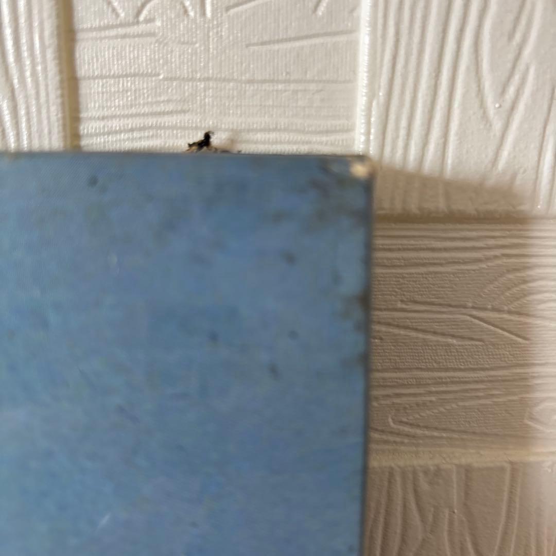 アイルトン・セナ　ビッグパネル