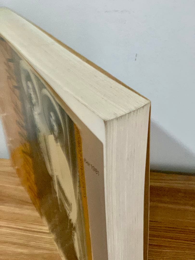 アート・デザイン・音楽 FOTOGRAFIE LATEINAMERIKA von 1860