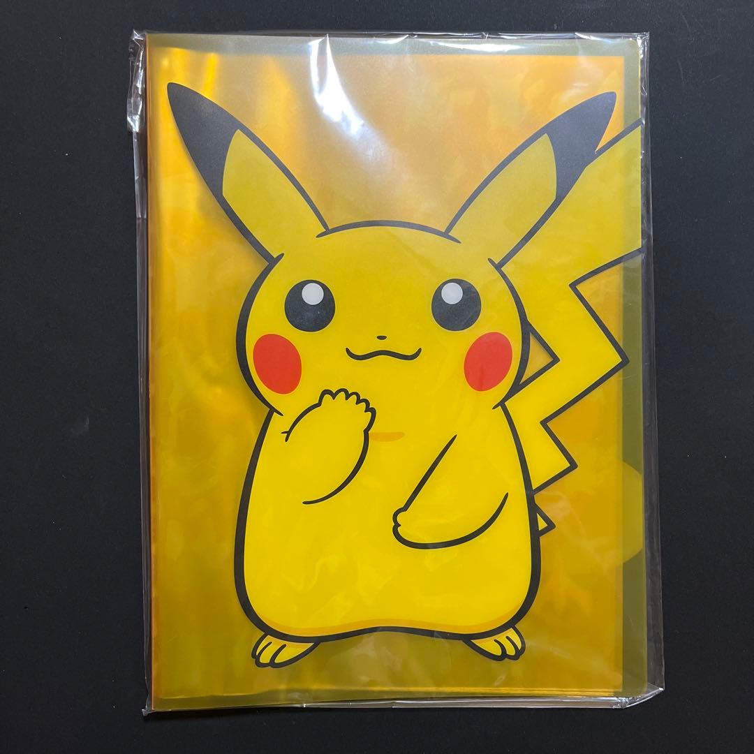 【2004年製】ポケモンセンター限定 A4クリアホルダー ホウエン御三家