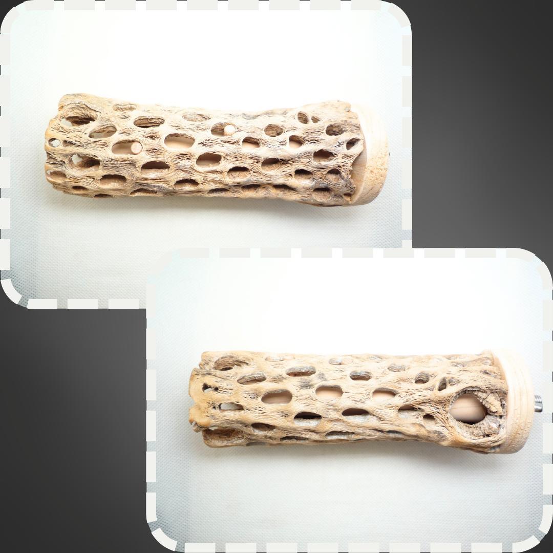 R　止まり木　カクタス　スケルトン　パーチおまとめ5本