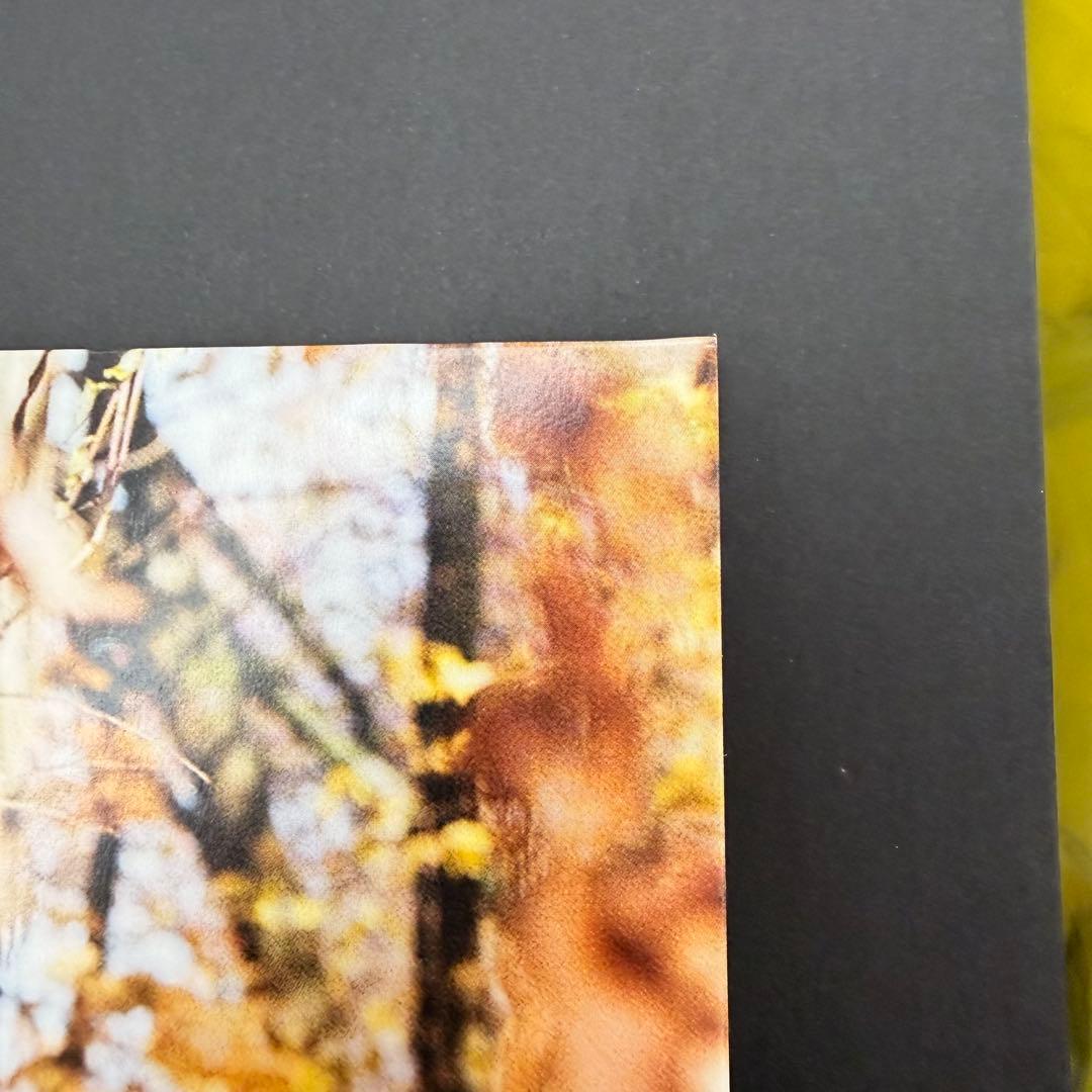 billy woods GOLLIWOG vinyl record ビリーウッズ