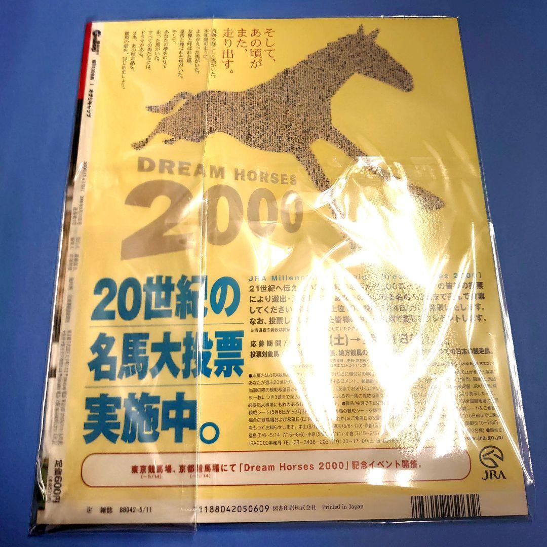 【新品】オグリキャップ ぬいぐるみ ウマ娘 アイドルホース 競馬 高柳知葉 馬