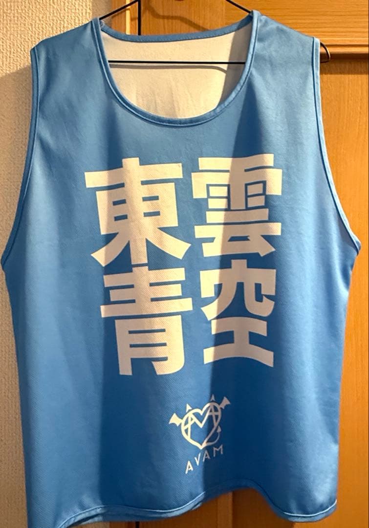 AVAM 東雲青空　ロンT ビブス　まとめ売り