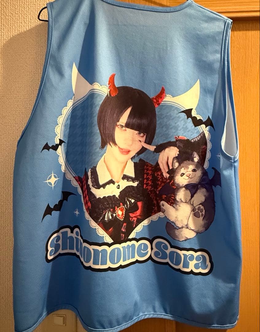 AVAM 東雲青空　ロンT ビブス　まとめ売り