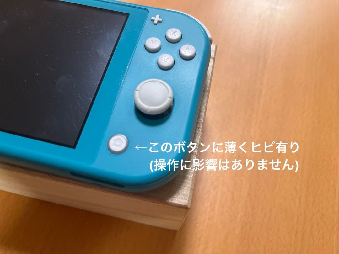【ケース付】Nintendo Switch Lite ターコイズブルー