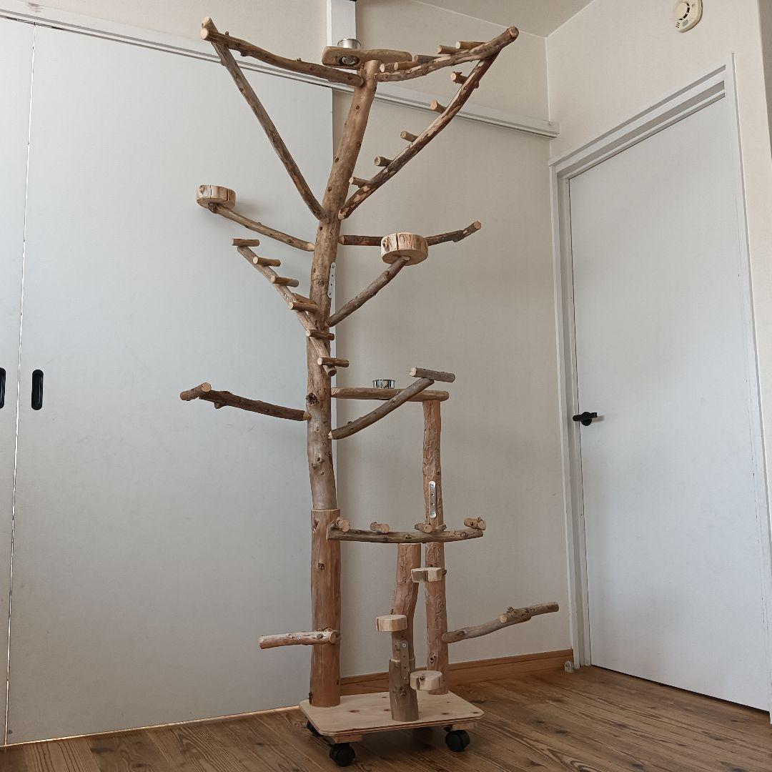 な バードアスレチックジム大型 天然木 自然木 流木 インコ おもちゃ