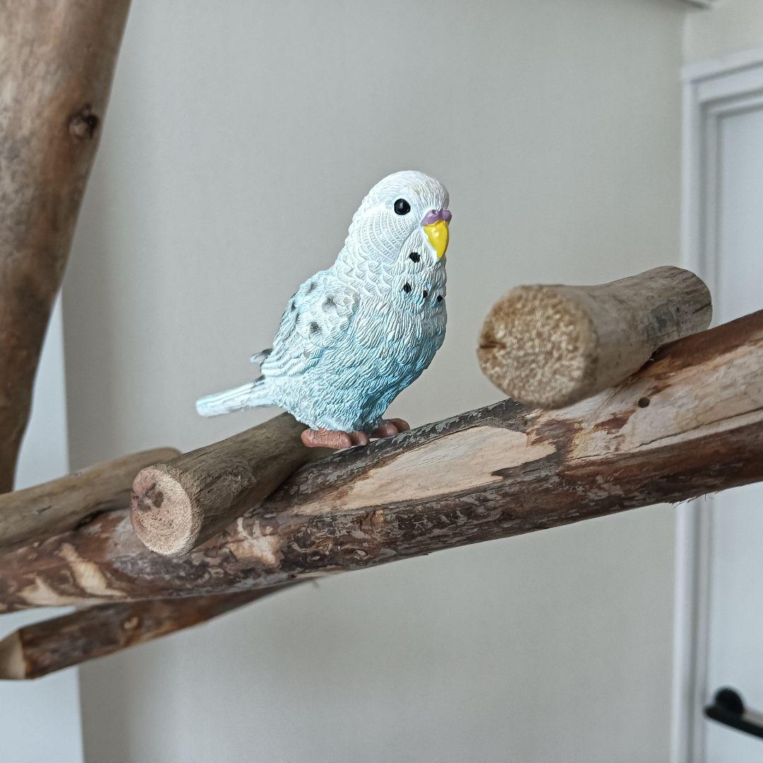 な バードアスレチックジム大型 天然木 自然木 流木 インコ おもちゃ