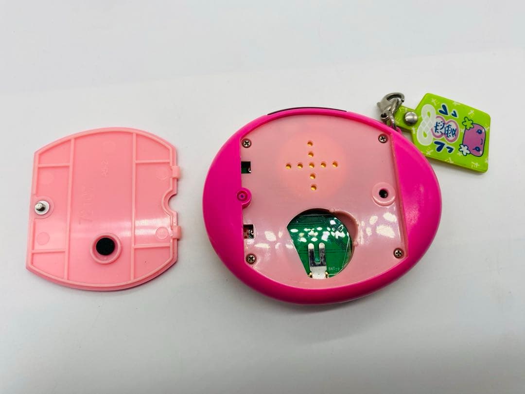 たまごっちスクールせーとぜーいんしゅーごっち！２じかんめ　スクールふらわー