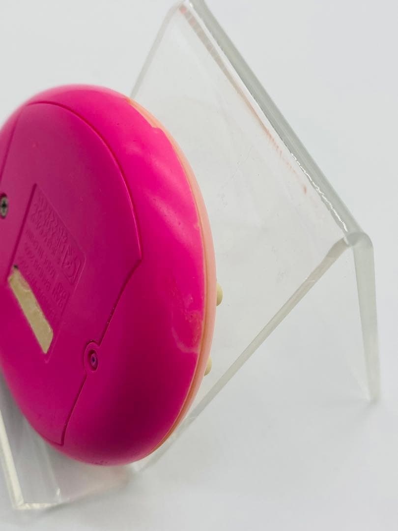 たまごっちスクールせーとぜーいんしゅーごっち！２じかんめ　スクールふらわー