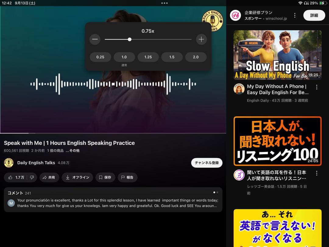 ぽーさんページ■小型犬用4輪　犬の車椅子　犬の歩行器　+オプション