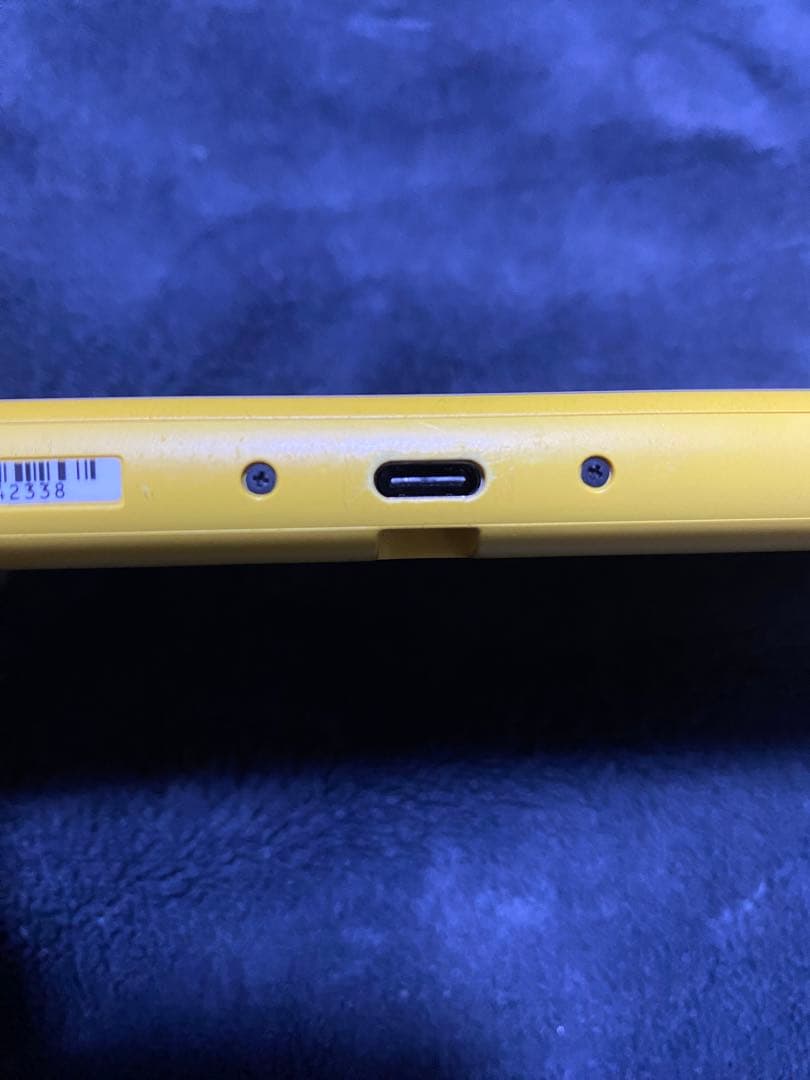 Switchライト 本体 ジャンク品