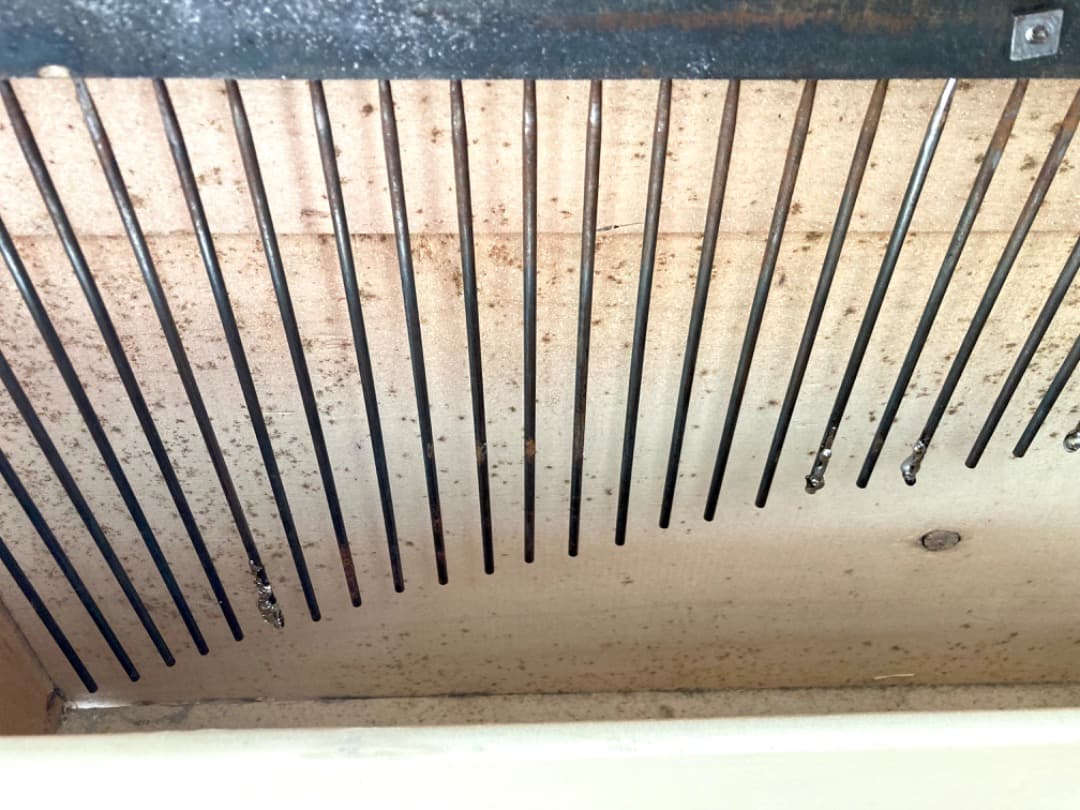 白い Michelsonne PARIS ミシェルソンヌ 37鍵 木製ハンマー