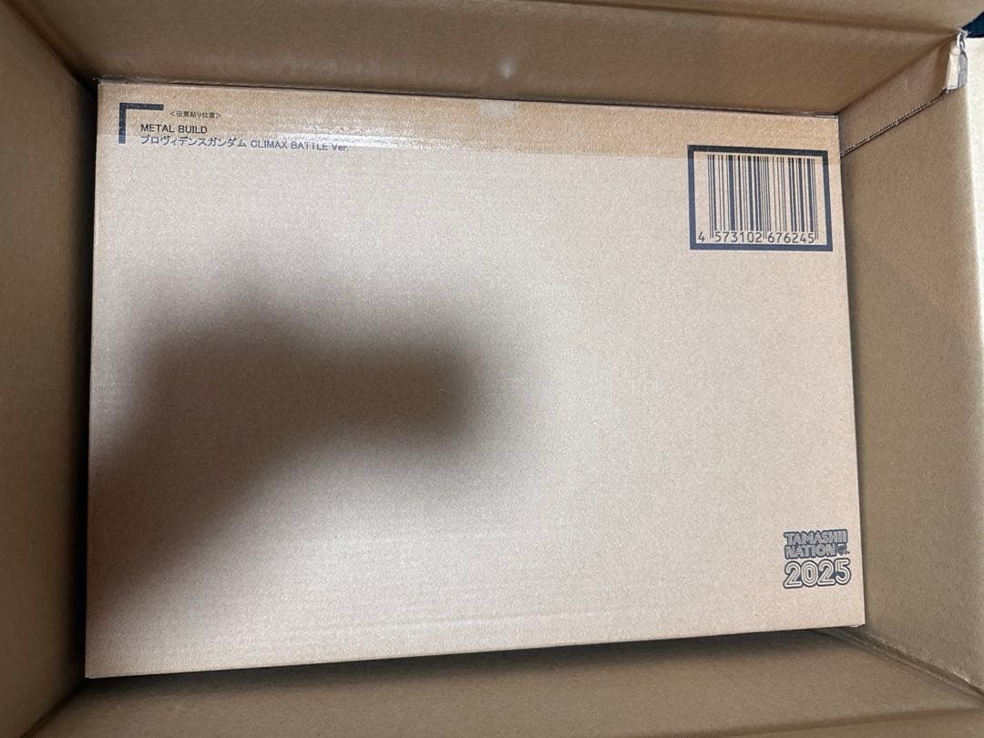 【12日まで限定値下】メタルビルドプロヴィデンスCBVer.&フリーダムセット