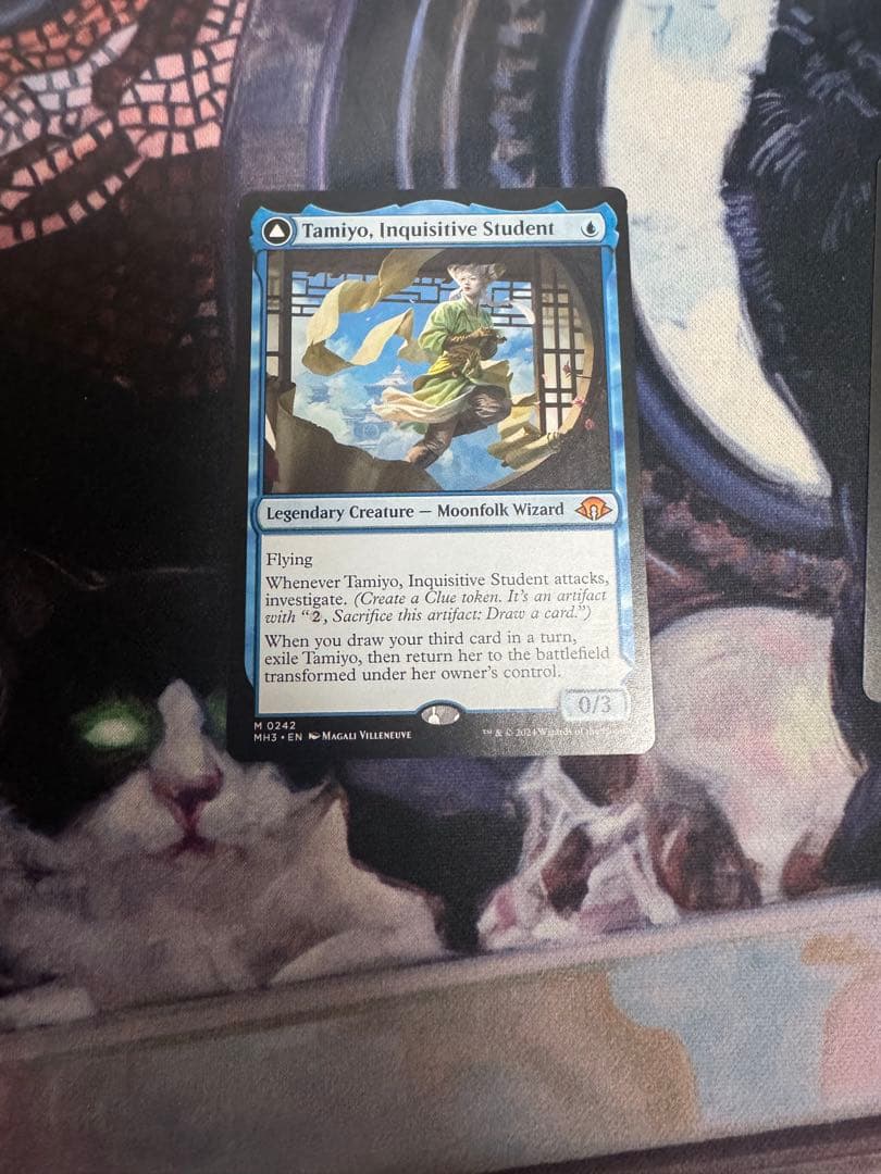 知りたがりの学徒　タミヨウ　4枚セット