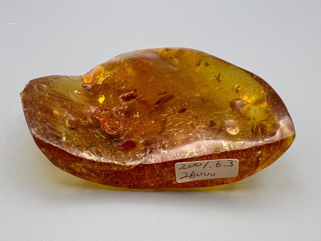 虫入り琥珀　蜘蛛　蚊　多種多様な虫を内包　バルティックアンバー　バルト海沿岸地域