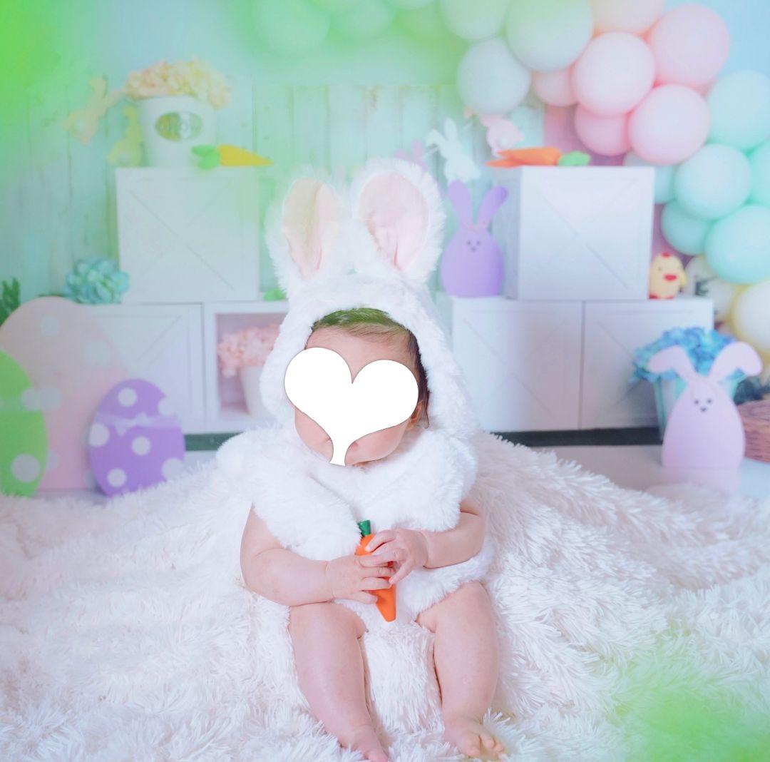 背景布×10枚+2　ペット撮影用ブース　トリミングチョーカー販売中　お正月、春