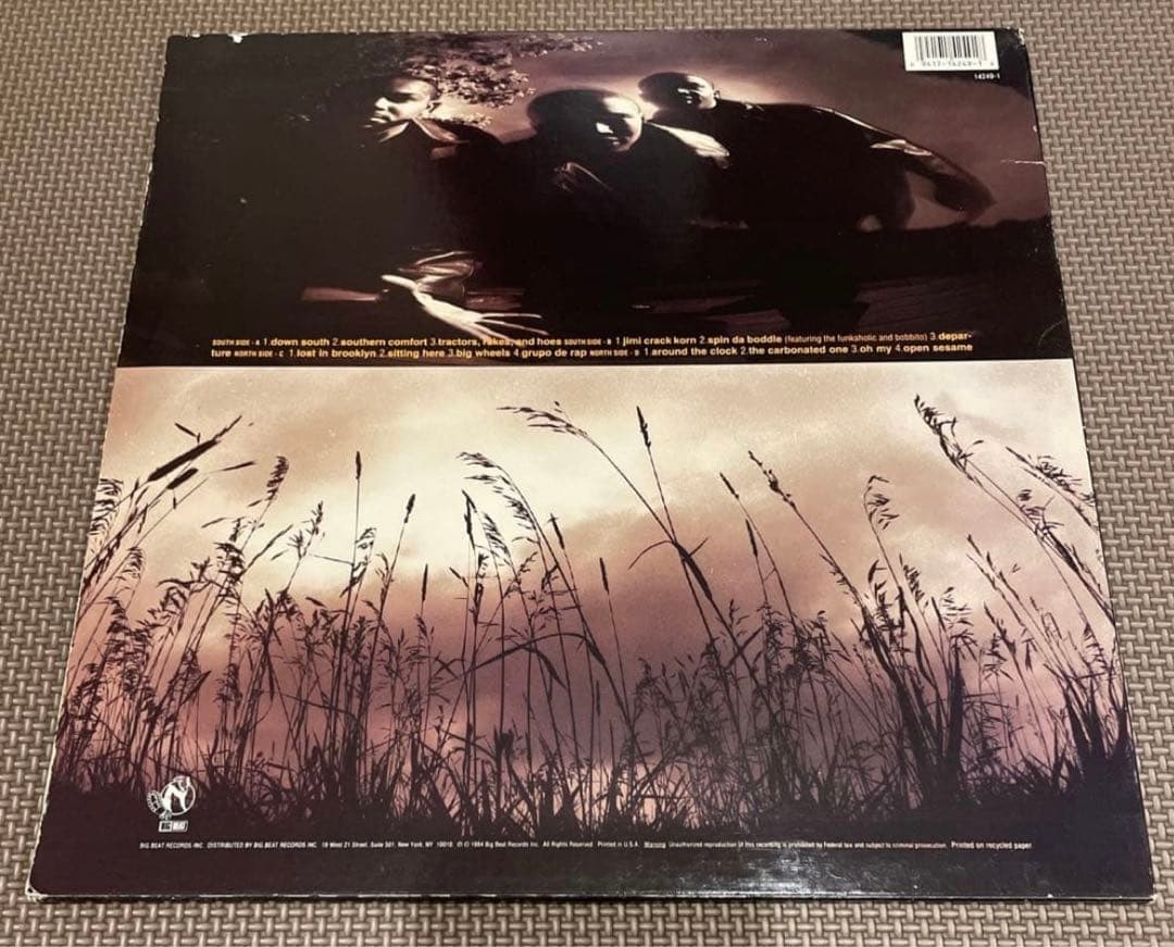 Down South Lost in Brooklyn レコード　2LP